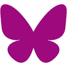 Icon 1